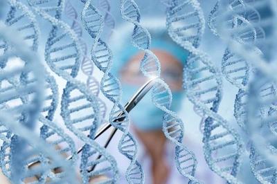 中國科學(xué)家靶向編輯長壽基因 讓老弱血管重獲“Q彈爽滑”，樹立干細(xì)胞技術(shù)新里程碑